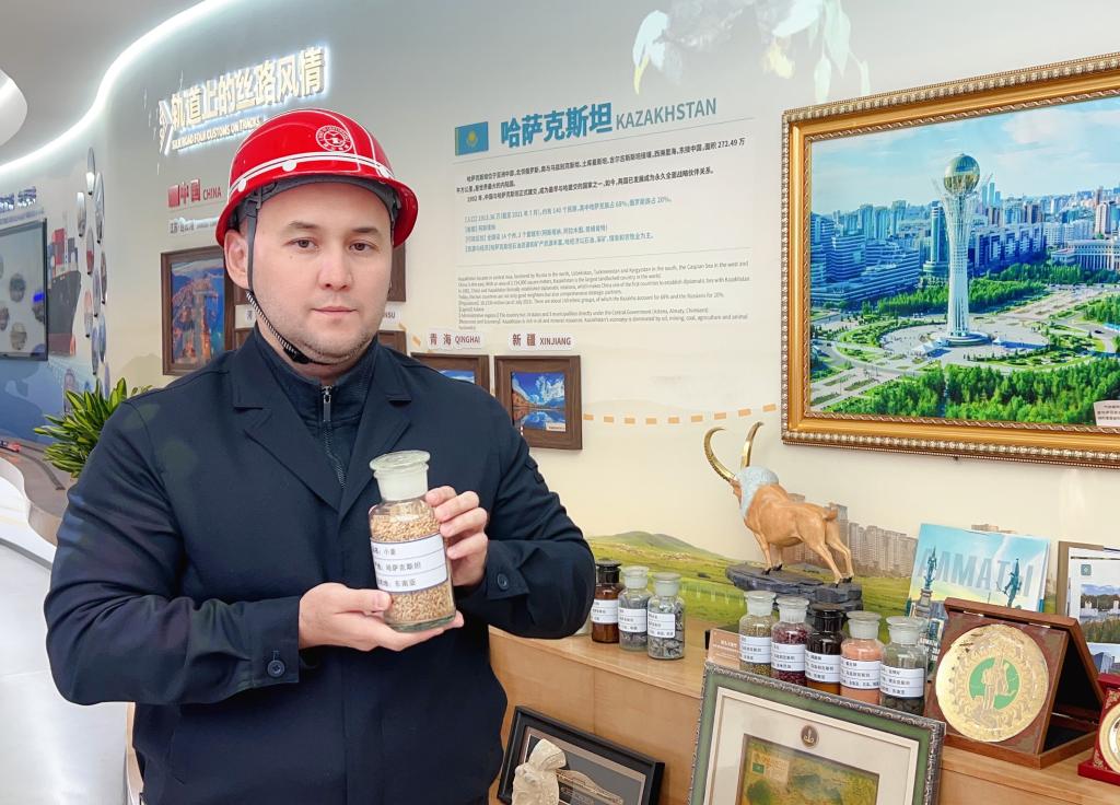 阿金汉展示从哈萨克斯坦过境连云港、运至东南亚的小麦样品（2025年11月25日摄）。（周丹 摄）