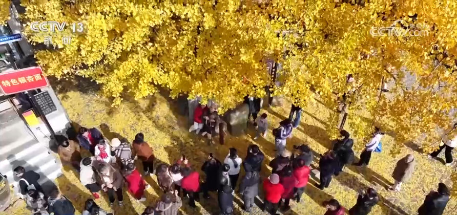 “限量版”秋冬美景成为旅游“金名片” 各