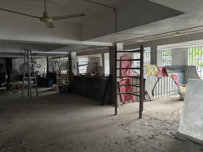 500万别墅闲置被邻居闯入养鸡鸭